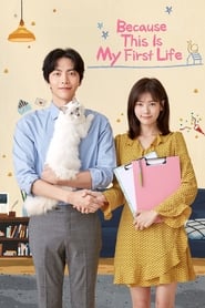 Because This Is My First Life (2017) subtitles - SUBDL poster