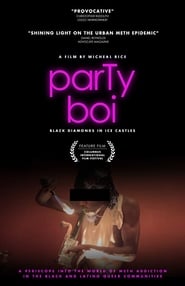 ParTy Boi: Black Diamonds in Ice Castles (2017) subtitles - SUBDL poster