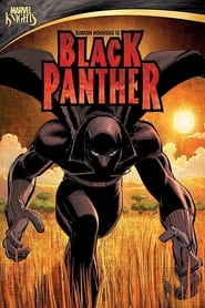 Black Panther (2011) subtitles - SUBDL poster