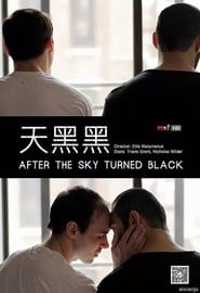 After the Sky Turned Black (2012) subtitles - SUBDL poster