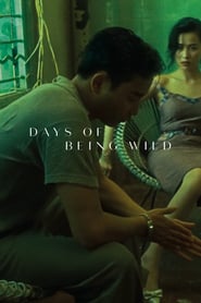 Days of Being Wild (A Fei jingjyuhn / 阿飛正傳) (1990) subtitles - SUBDL poster