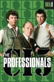 The Professionals