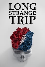 Long Strange Trip (2017) subtitles - SUBDL poster