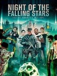 Night of the Falling Stars English  subtitles - SUBDL poster