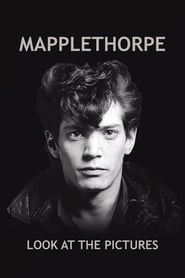 Mapplethorpe: Look at the Pictures Korean  subtitles - SUBDL poster