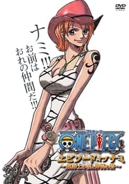 One Piece Episode of Nami: Tears of a Navigator and the Bonds of Friends (2012) subtitles - SUBDL poster