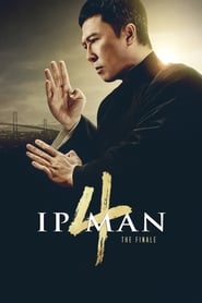 Ip Man 4: The Finale (2019) subtitles - SUBDL poster