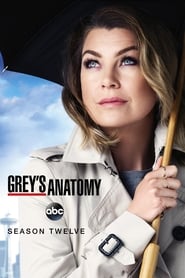 Grey's Anatomy Spanish  subtitles - SUBDL poster