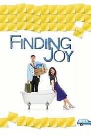 Finding Joy (2013) subtitles - SUBDL poster