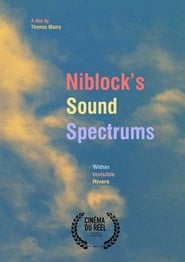 Niblock's Sound Spectrums − Within Invisible Rivers (2019) subtitles - SUBDL poster