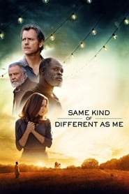 Same Kind of Different as Me (2017) subtitles - SUBDL poster
