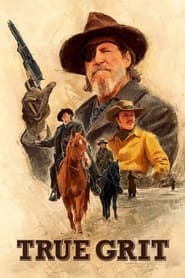 True Grit (2010) subtitles