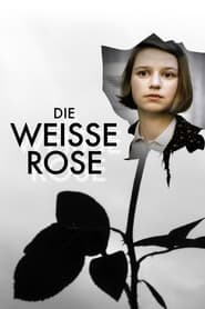 The White Rose French  subtitles - SUBDL poster