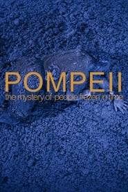 Pompeii: The Mystery of the People Frozen in Time (2013) (2013) subtitles