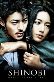 Shinobi: Heart Under Blade Korean  subtitles - SUBDL poster