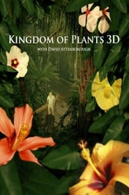 Kingdom of Plants (2012) subtitles - SUBDL poster