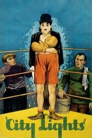 City Lights (1931) subtitles - SUBDL poster