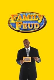 Family Feud (1976) subtitles - SUBDL poster