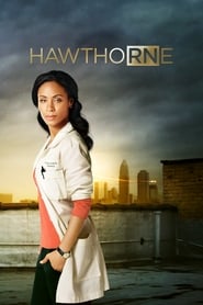 Hawthorne (2009) subtitles - SUBDL poster