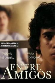 Between Friends (2010) subtitles - SUBDL poster