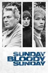 Sunday, Bloody Sunday (1971) subtitles - SUBDL poster