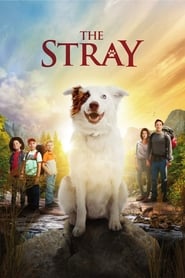 The Stray (2017) subtitles - SUBDL poster