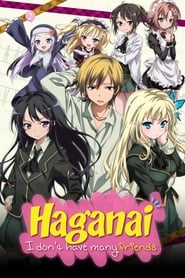 Haganai: I Don't Have Many Friends (2011) subtitles - SUBDL poster