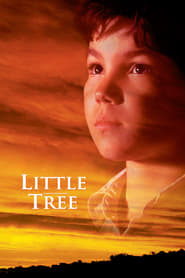 The Education of Little Tree Arabic  subtitles - SUBDL poster