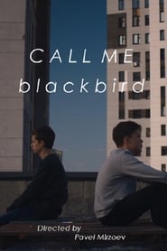 Call Me Blackbird (2020) subtitles - SUBDL poster