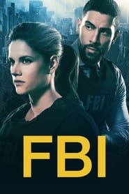 FBI French  subtitles - SUBDL poster