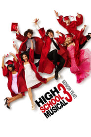 High School Musical 3: Senior Year (2008) subtitles - SUBDL poster