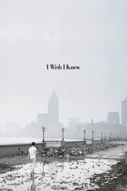 I Wish I Knew (2010) subtitles