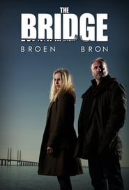The Bridge (2011) subtitles - SUBDL poster