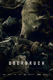 Oderbruch (2024) subtitles - SUBDL poster