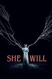 She Will Arabic  subtitles - SUBDL poster