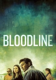 Bloodline (2015) subtitles - SUBDL poster