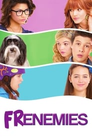 Frenemies (2012) subtitles