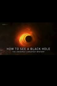 How to See a Black Hole: The Universe's Greatest Mystery Farsi_persian  subtitles - SUBDL poster