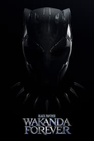 Black Panther: Wakanda Forever Swedish  subtitles - SUBDL poster