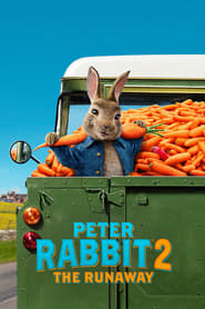 Peter Rabbit 2: The Runaway (2021) subtitles - SUBDL poster
