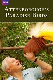 Attenborough's Paradise Birds