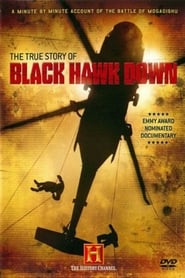 The True Story of Black Hawk Down (2003) subtitles - SUBDL poster