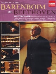 Barenboim on Beethoven: Masterclass (2007) subtitles - SUBDL poster