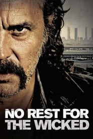 No Rest for the Wicked (No habrá paz para los malvados) (2011) subtitles - SUBDL poster