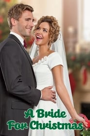 A Bride for Christmas (2012) subtitles