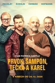 Bet on Friendship (2021) subtitles - SUBDL poster