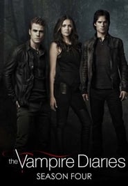 The Vampire Diaries French  subtitles - SUBDL poster