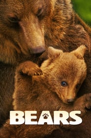 Bears Slovak  subtitles - SUBDL poster