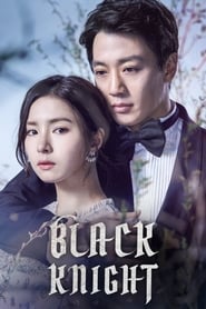 Black Knight (2017) subtitles - SUBDL poster