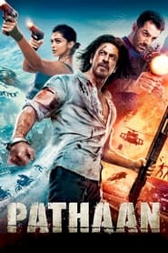 Pathaan Hindi  subtitles - SUBDL poster